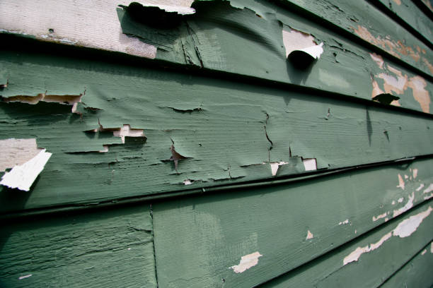 Pierre Part, LA Junk Removal Company